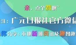 四川新闻网广元爆料电话,网友爆料电话助力民生问题解决